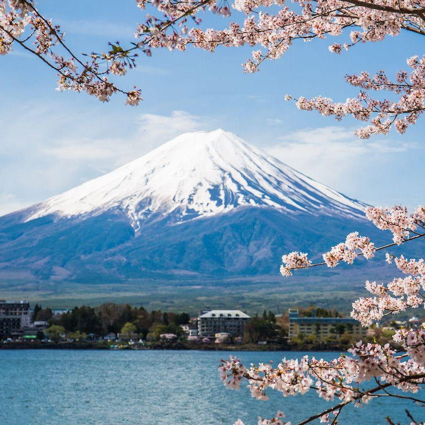 Japan eSIM